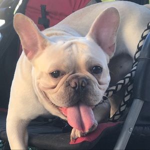 Meet your Posher, Brandie